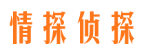 淮上寻人公司